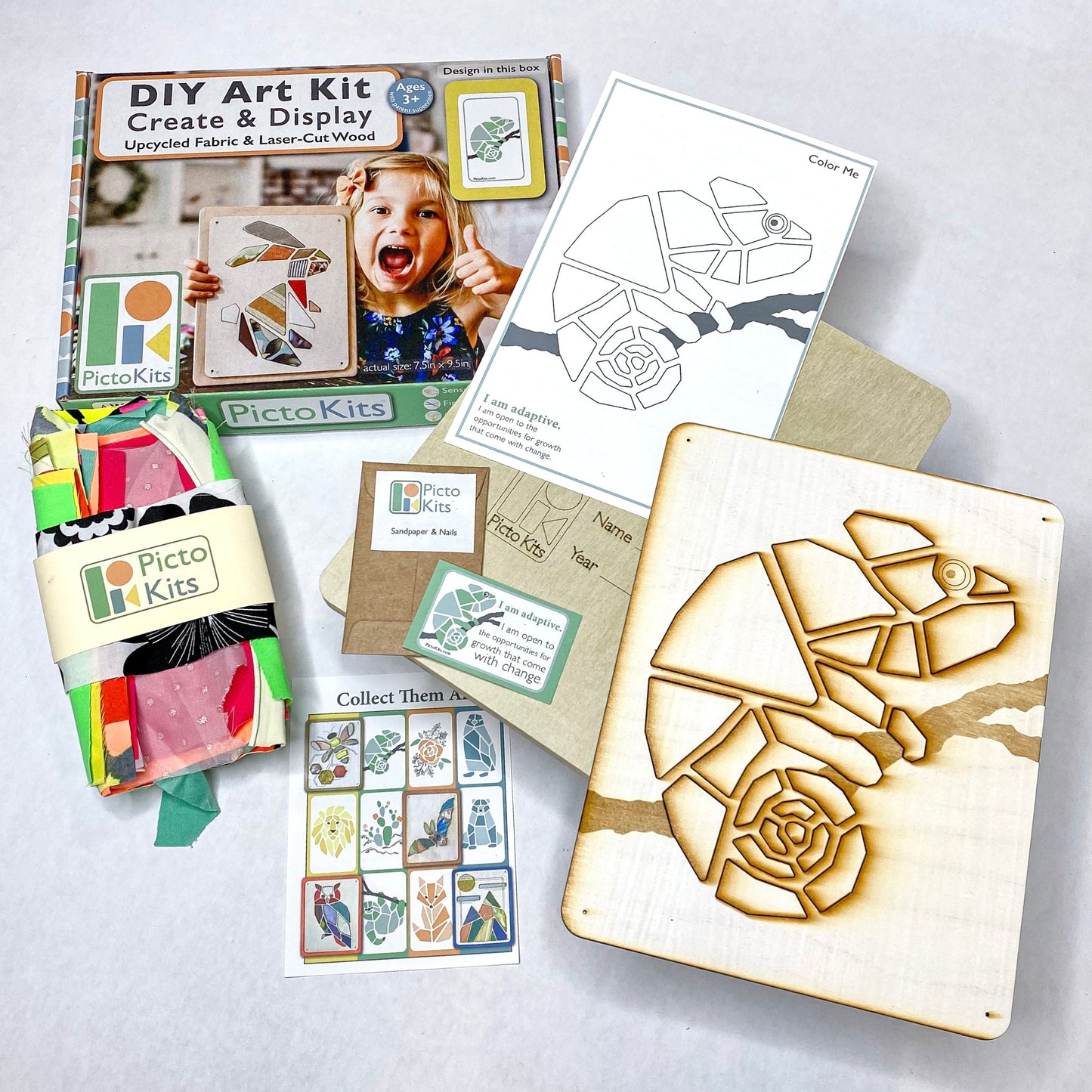 Premium Picto Kits - CHAMELEON