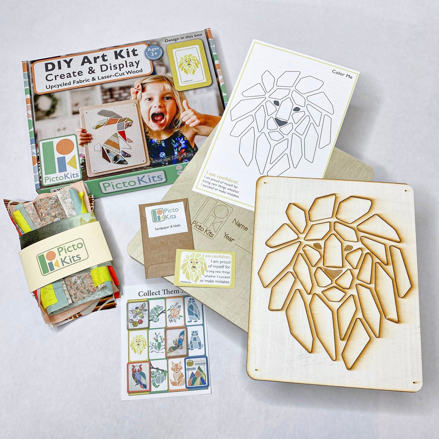 Premium Picto Kits - LION