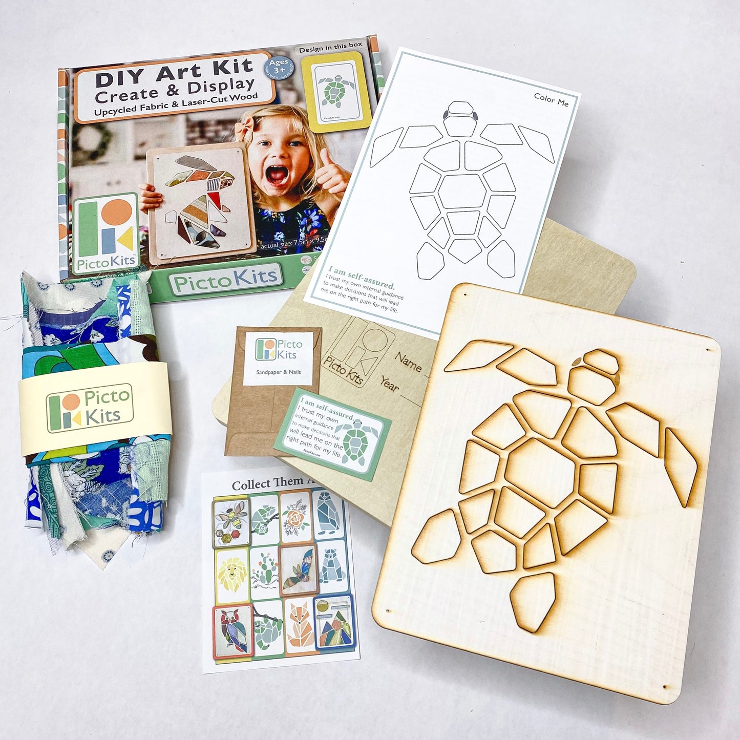 Premium Picto Kits - SEA TURTLE