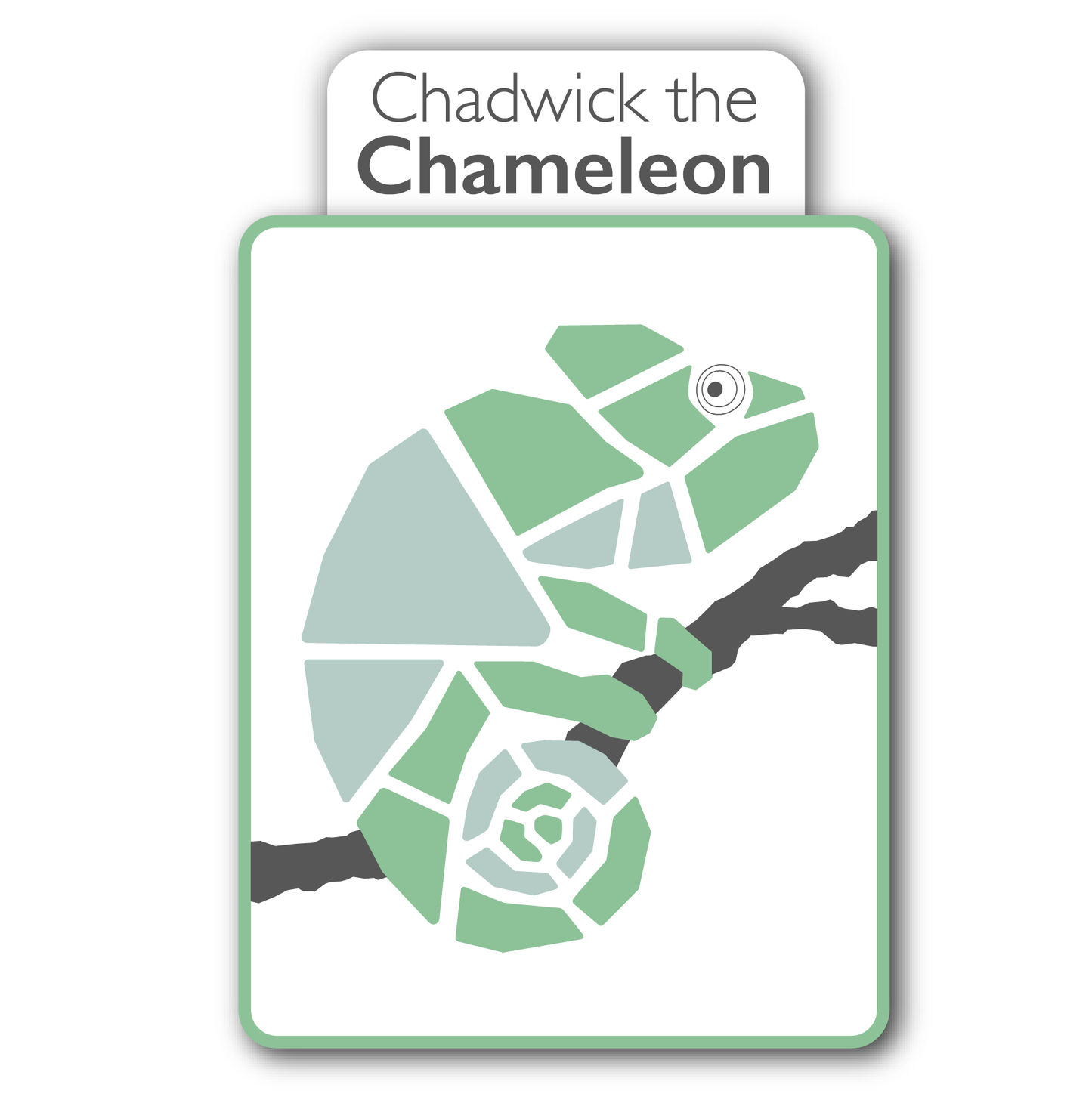 Premium Picto Kits - CHAMELEON