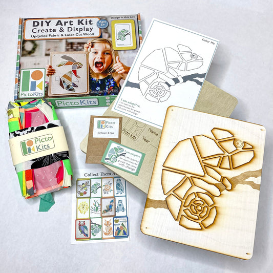 Premium Picto Kits - CHAMELEON